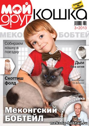 короткохвостые кошки бобтейлы